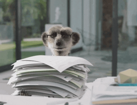 Animal with papers GIF - Content