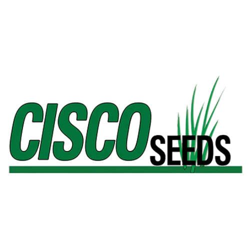 Cisco Seeds Logo
