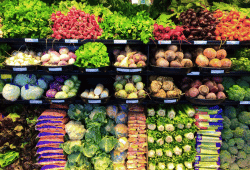 Grocery industry