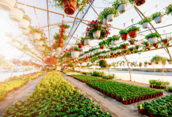 Lawn & Garden industry