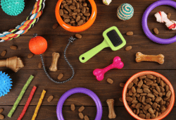 Pet industry
