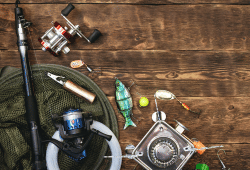 Sporting Goods industry