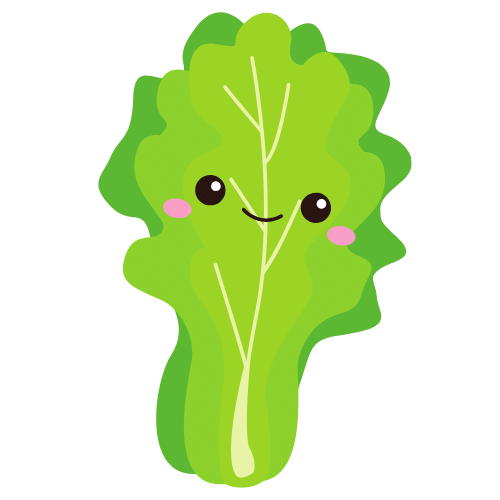 lettuce